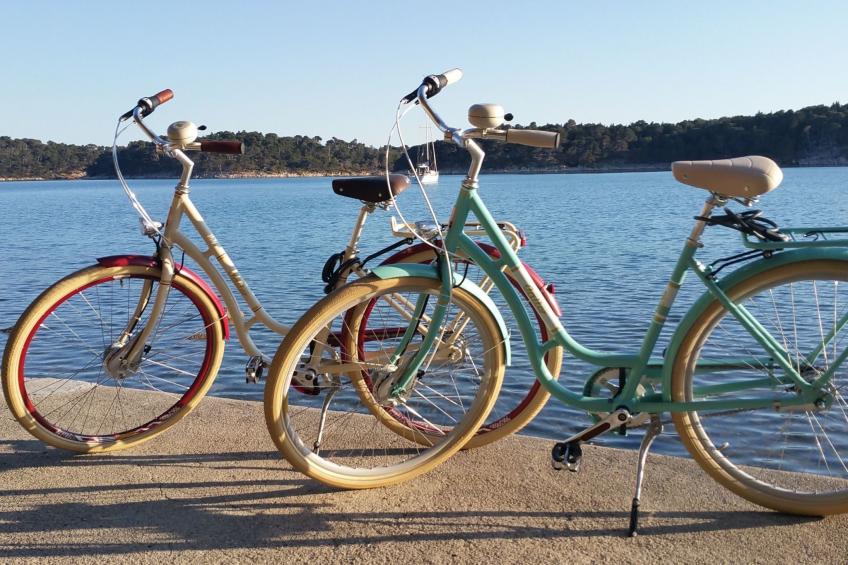 Villa Prislin - foto 31