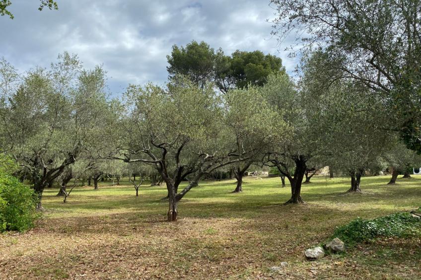 Klimatisiertes Mas Les Heures Bleues mit Pool - foto 5