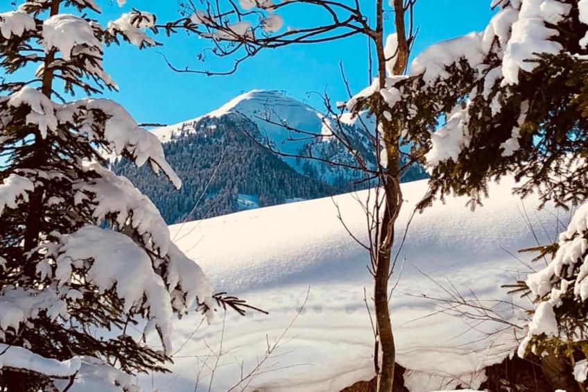 Mittenwald Top XL - foto 28