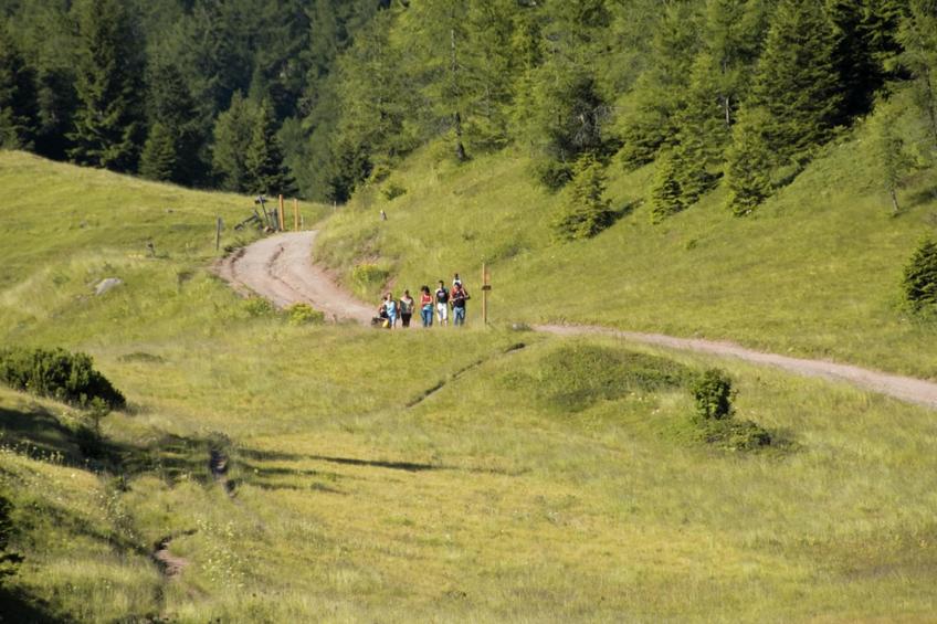 Renetta Mansarda - foto 18