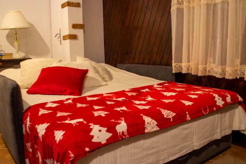 House Frieden - foto 35