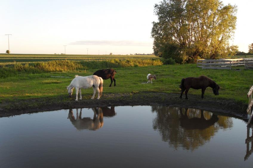 kleine FeWo - foto 7