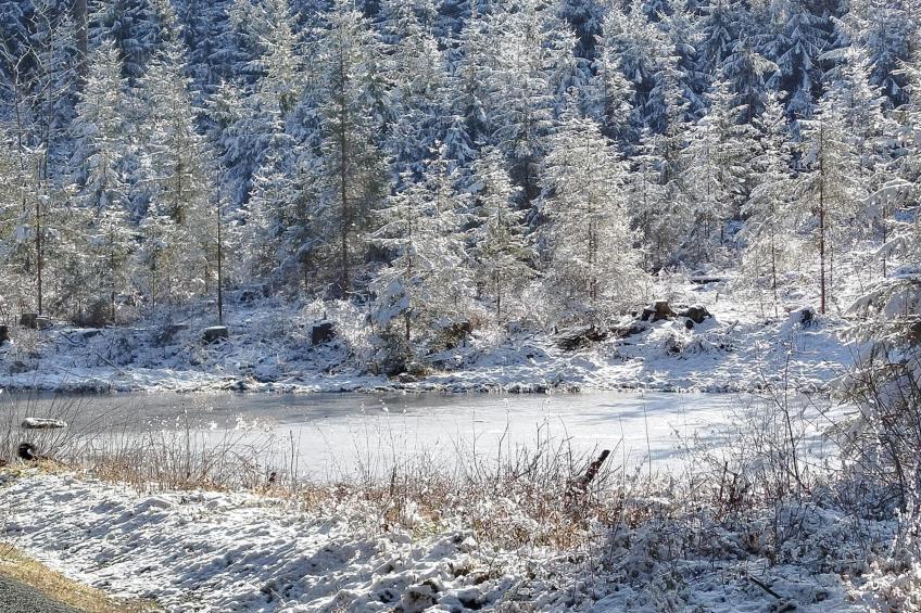 Am Sonnenblick - foto 26