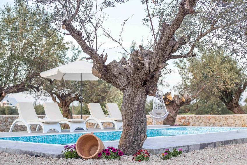 Kalathos Traum - Aspro Traum - foto 22