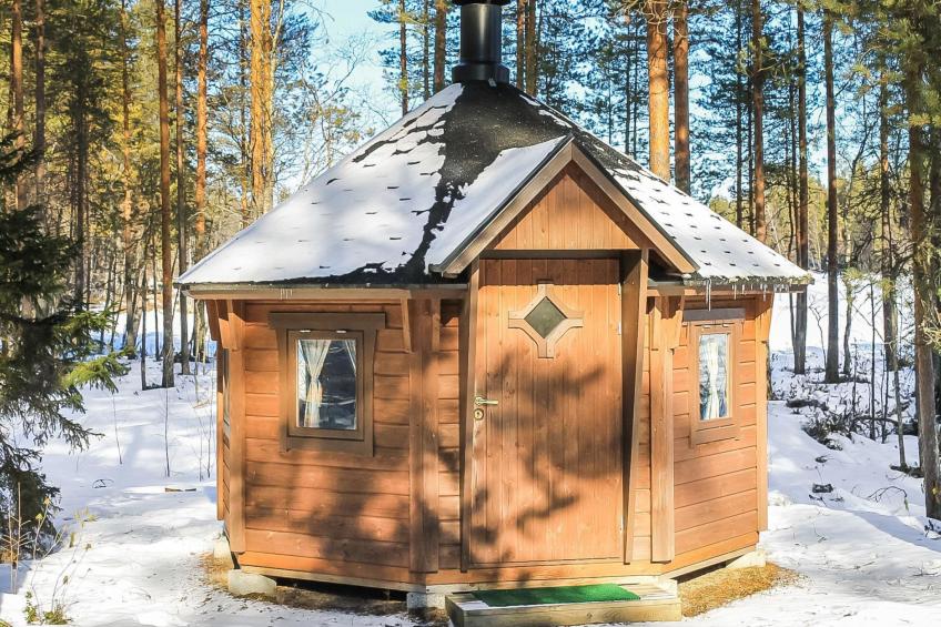 Mäntyniemi - foto 12