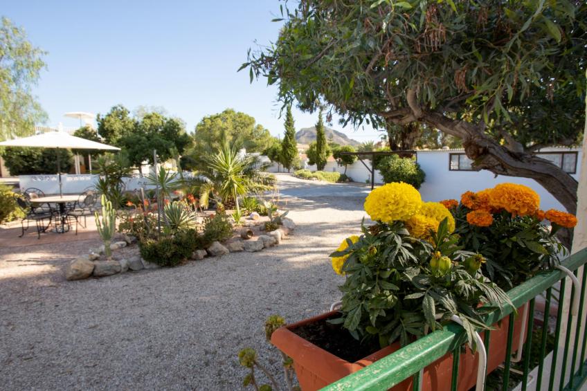 Costa del Sol - foto 12