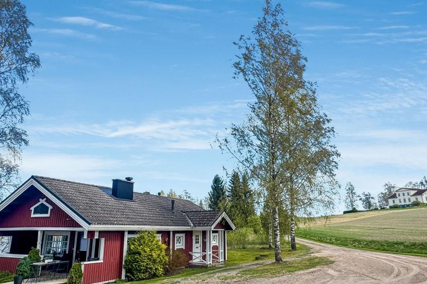 Peltosirkku, seeteri - foto 32