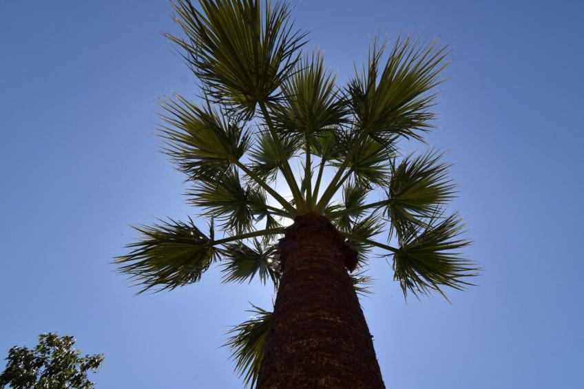 Finca El Corinto - Ein verwunschener Ort - foto 33