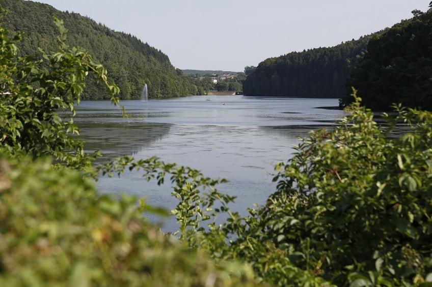 mit Garten im Naturpark Südeifel - foto 16