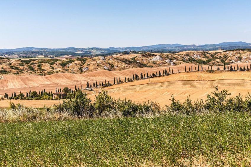 'Molinello albicocco' - foto 43