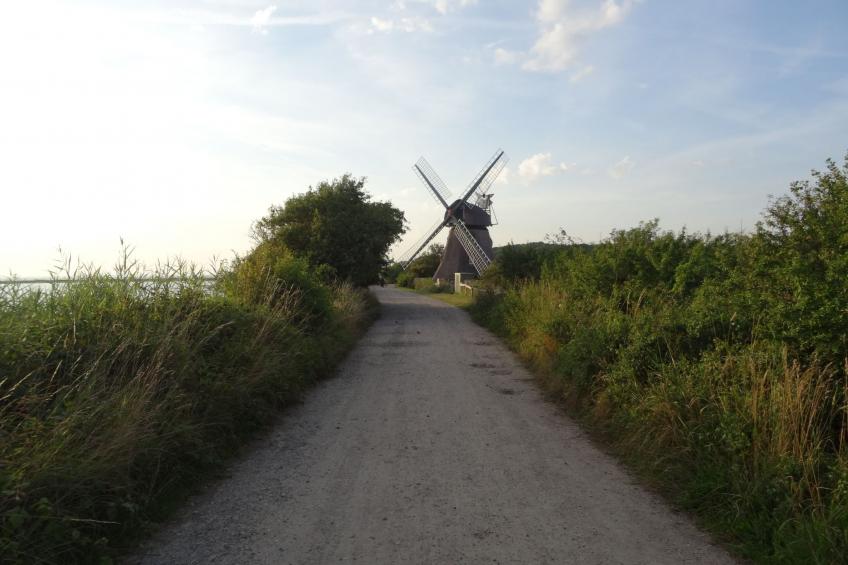 Geltinger Bucht - foto 28