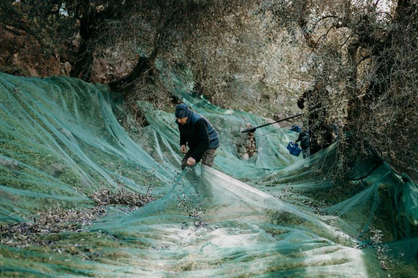 Wohnung mit schönem Blick auf den Golf von Dianese - foto 28