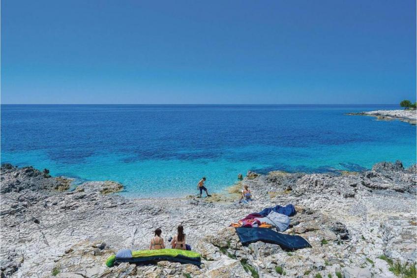 Gorgonia S2 - foto 33