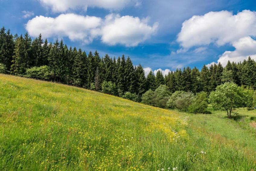 Gruppenferienhaus nähe Kurort Oberwiesenthal - foto 37