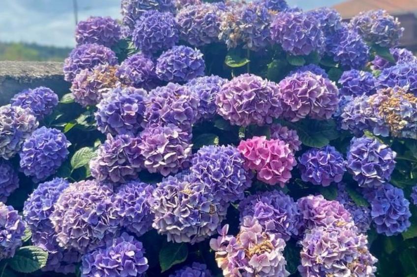 Ländliches Anwesen "Mar y Montaña" (Meer und Berge) - foto 32