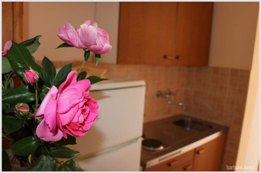 Apartments Juras - Studio Apartment with Sea View (Mia) - foto 2