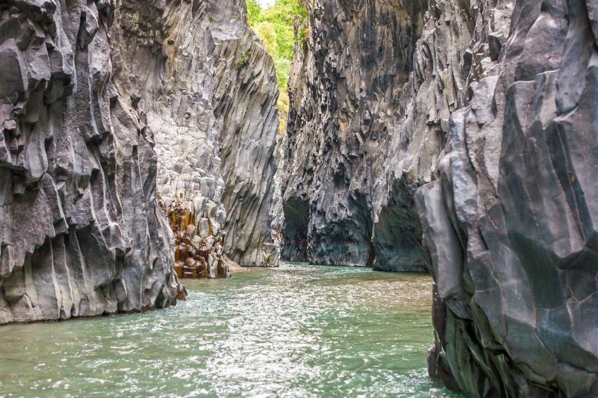 Das Delphin-Apartment - foto 16