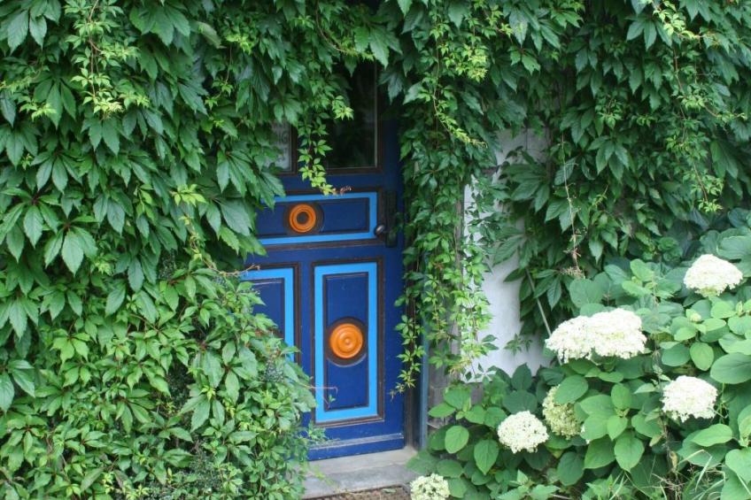 Wippsteert - foto 11