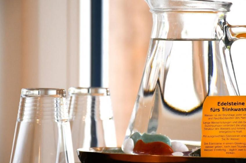 FeWo mit Whirlpool und Infrarotsauna - foto 27