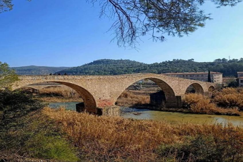 Vilanova Park BUNGALOW 4 PAX S150 - foto 35