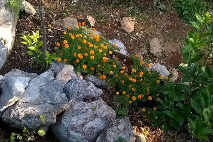 in der Nähe des Meeres und des Sees - foto 14