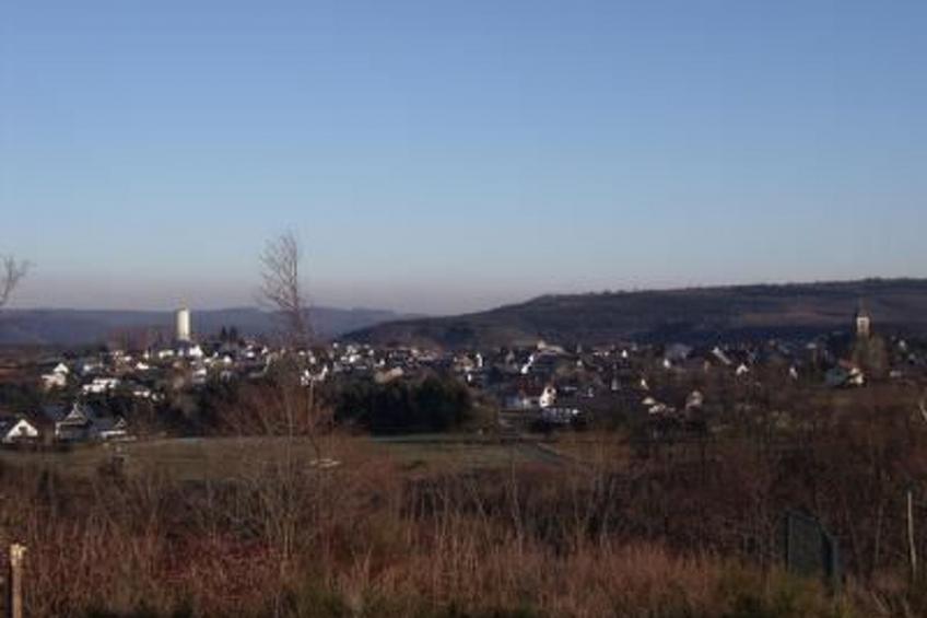 Am Waldrand - foto 22