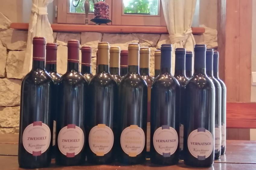 Apartment Merlot in Kurtatsch mit Panoramablick - foto 8