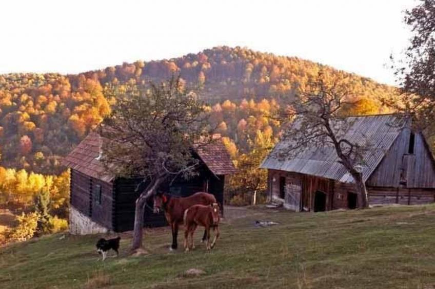in Sibiel mit Terrasse und Grill - foto 4