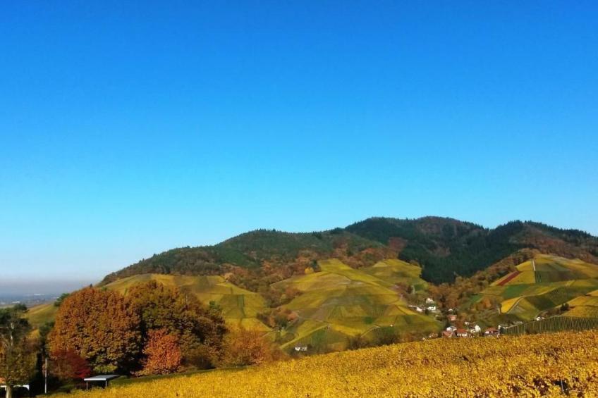 Traumwohnung - foto 56