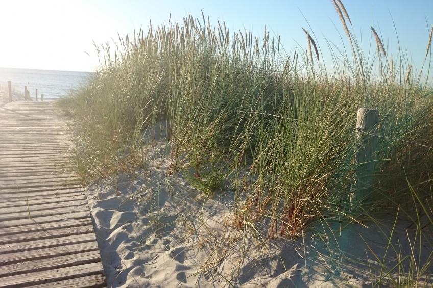 Strandnahe Finnhütte - foto 16