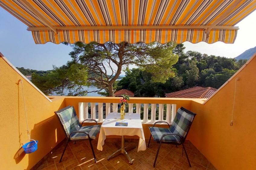 Apartments Vinko Mljet- One-Bedroom Apartment with Terrace (A4)