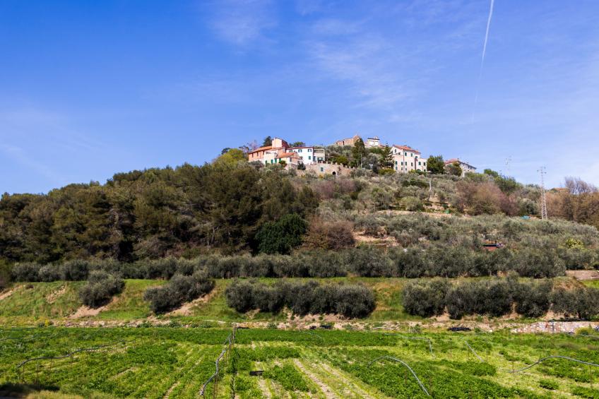 Residence Villa Raggi  Suite Apartment 3 Pax - foto 22