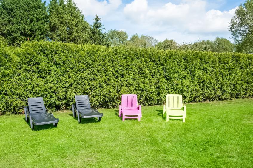 Super Flux - foto 35