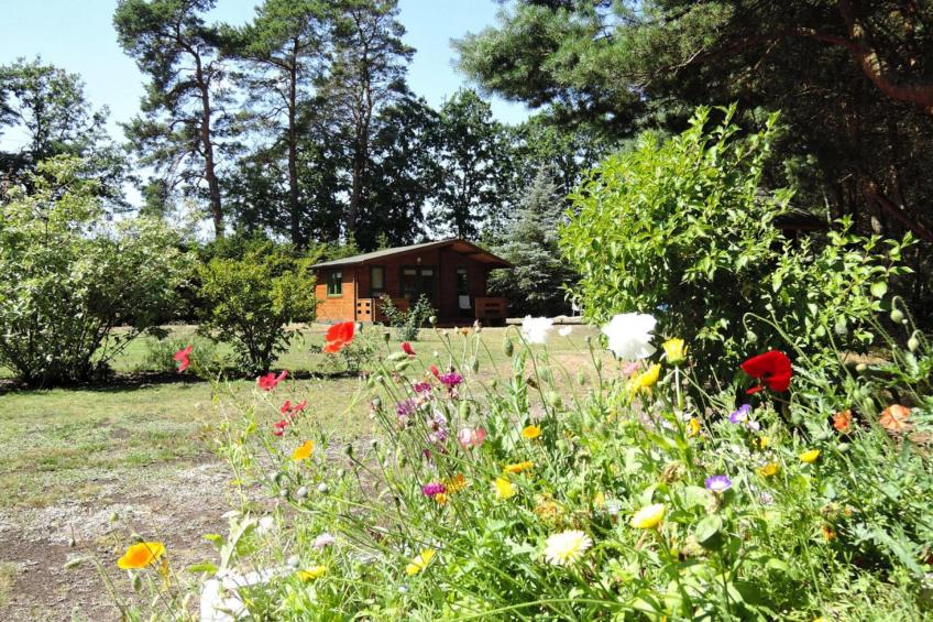 Holiday homes, Kodrabek|35 qm - foto 11