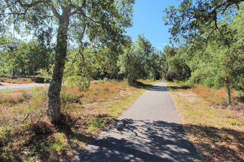 Villa Cocoon Contis-plage 1 chambre - foto 23