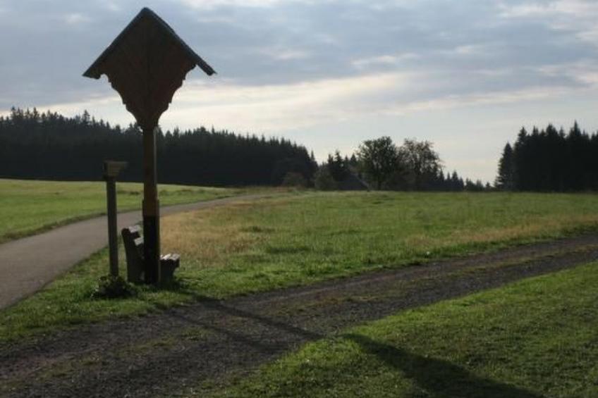 Appartement mit Garten in Schwärzenbach - foto 29