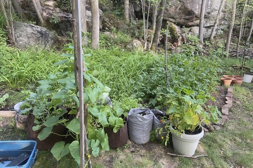 Kiltearn am See - foto 31