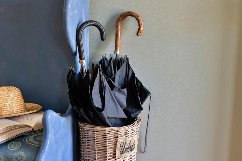 Felin Ship - foto 45