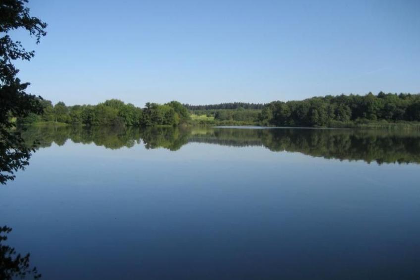 Große Ferienwohnung mit Balkon und Garten - foto 19