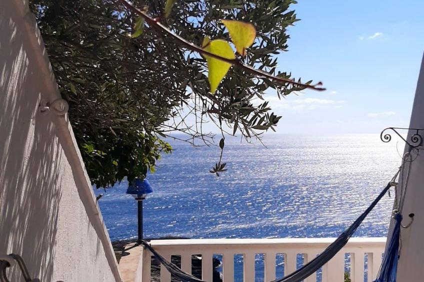 Girasoli in Tricase Porto - foto 50