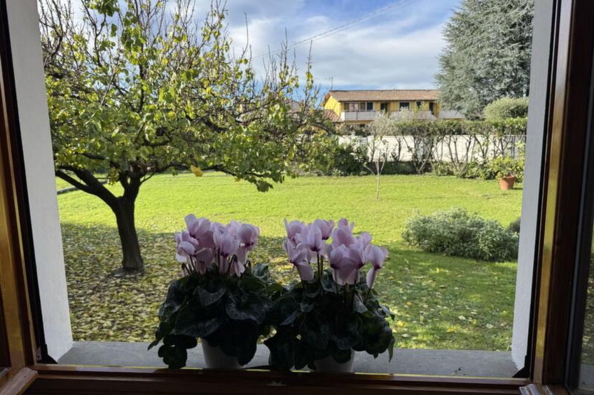 Villa Lory - foto 35