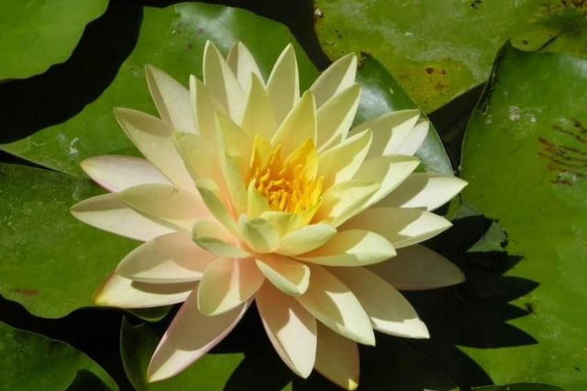 Wohnung mit großer Terrasse und Meerblick - foto 33