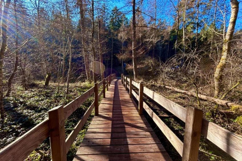 Am Wald - foto 37