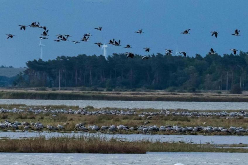 Ferienhaus an der Ostsee in Pruchten - foto 33
