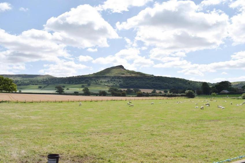 Ingleby Manor - South Front - foto 25