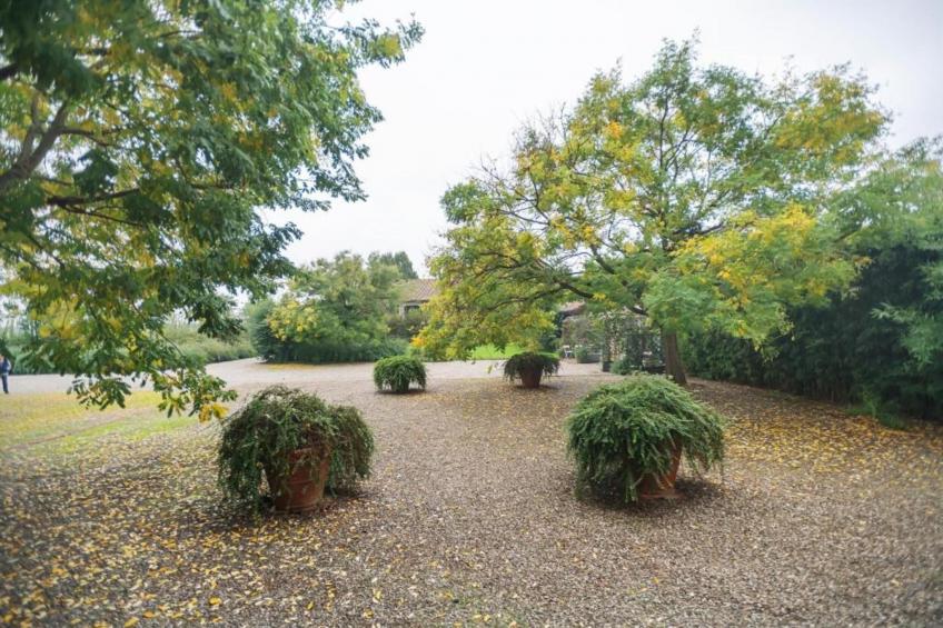 Violino Angelico 1 - foto 21