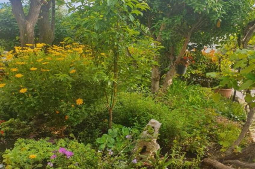 Apartments Marko - One Bedroom Apartment (Ground Floor) - foto 18