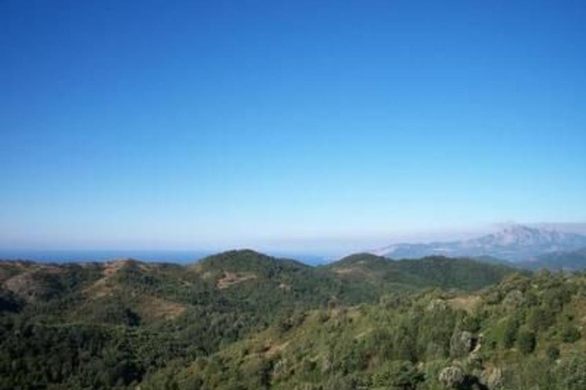 Casa Soprana - foto 4