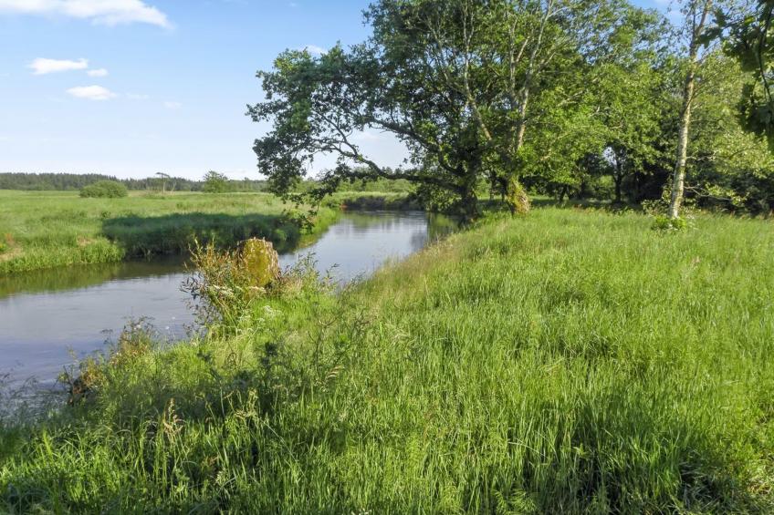 "Beatha" - 25km to the inlet in Western Jutland - foto 3