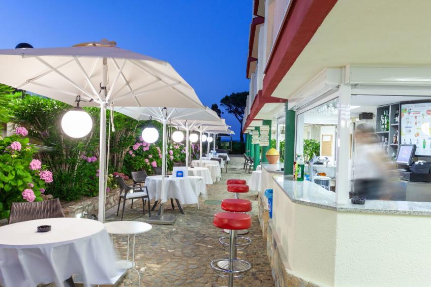 Palmiers 01 - foto 20